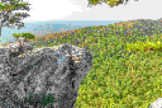 Header image